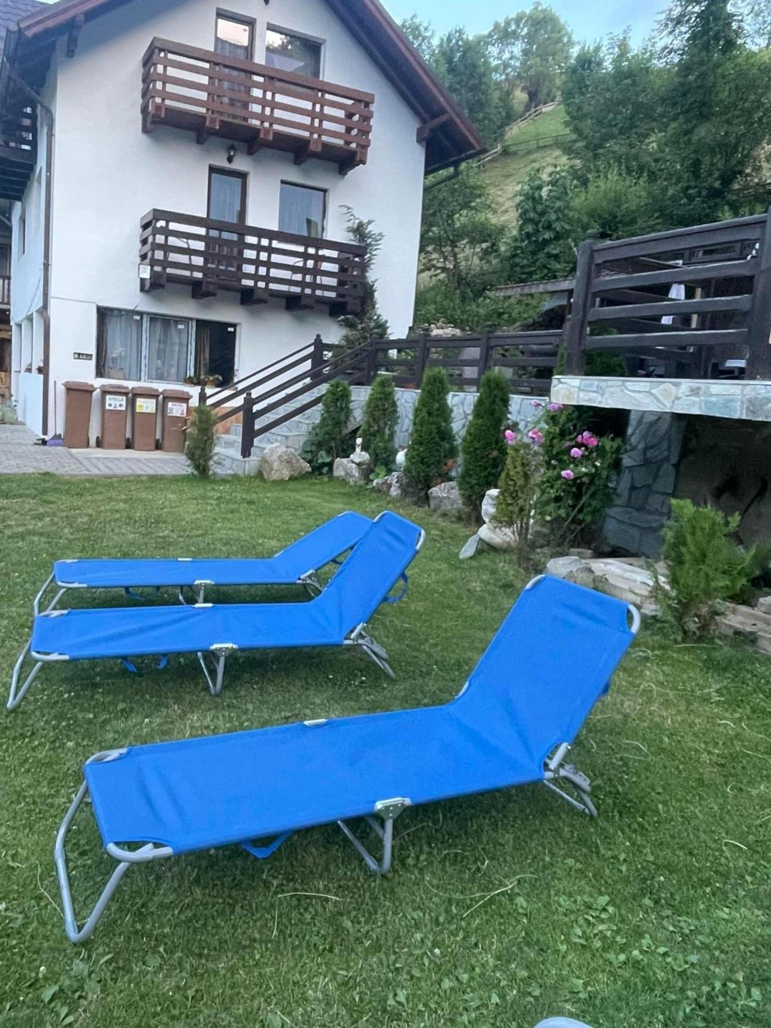 Casa Maria Moieciu C Otel Moeciu De Sus Dış mekan fotoğraf