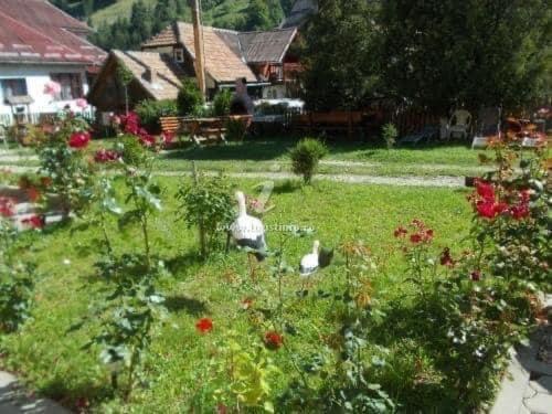 Casa Maria Moieciu C Otel Moeciu De Sus Dış mekan fotoğraf